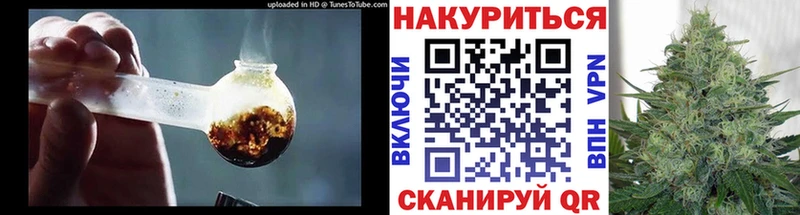 Купить закладки  Дальнегорск  Конопля White Widow 